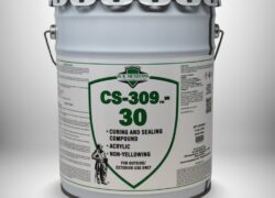 CS-309-30