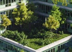 vegetated-roof-systems-for-educational-facilities
