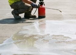 puddle